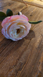 Roze roosje Sia (30 cm  lang)