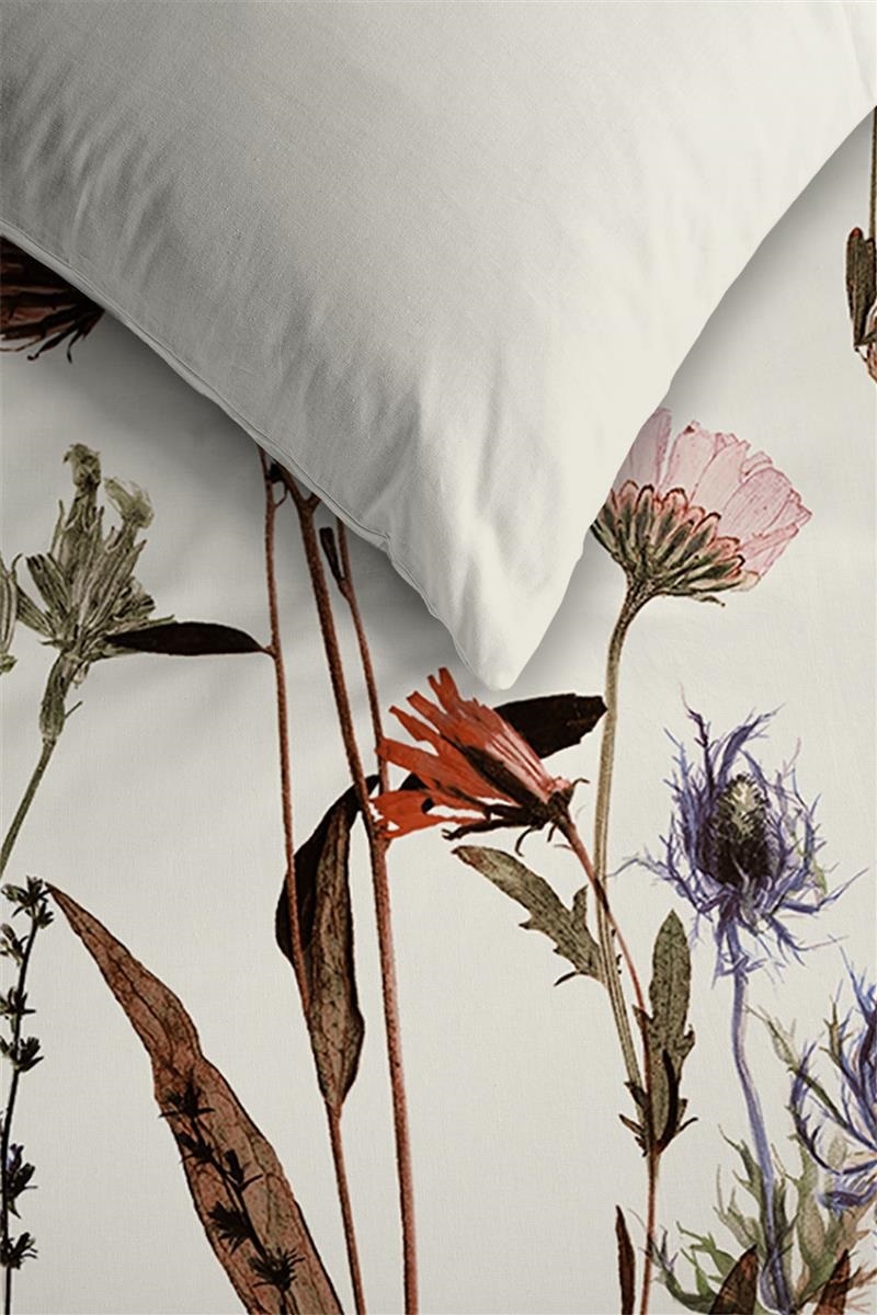 Ambiante Dry Flowers - 240 x 200/220 cm - Multi 254771