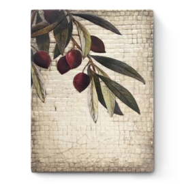 T603 sid dickens tegel Olive Tree