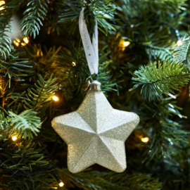 Ornament Wish Upon A Star, Zilver riviera maison