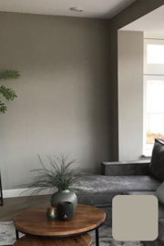 sfeerbeeld kleur monument grey