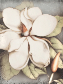 Magnolia T301 sid dickens tegel #13