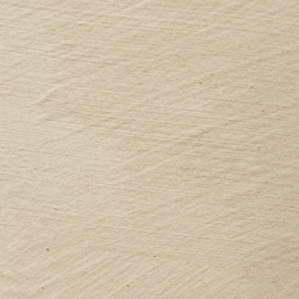 Desert Dust rustica painting the past
