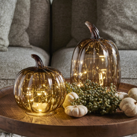 Autumn Cozy Pumpkin LED Decoration L 599210 (Pre order)