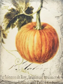 T619 Sid Dickens tegel Pumpkin@C