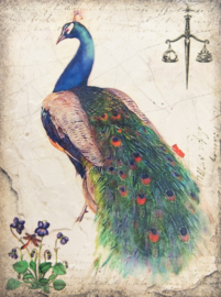 T597 Peacock Guardian of royalty#9