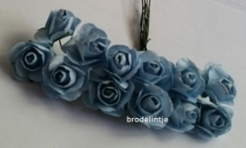 Paper roosjes Blauw