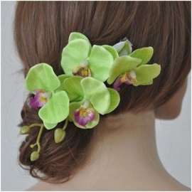 Prachtige grote haarclip orchidee groen