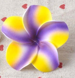 Vrolijke Plumeria Hawaïbloem 7 cm op clip kies je kleur