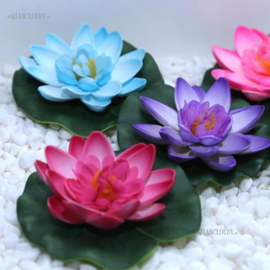 Drijvende paarse Lotusbloem op blad 10 cm