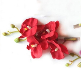Prachtige grote haarclip orchidee rood