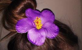 Geweldige Hibiscus Hawaïbloem 9 cm op clip paars