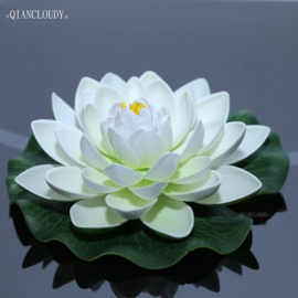 Drijvende witte  Lotusbloem op blad 17 cm