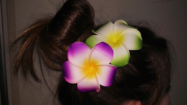 Superleuke Plumeria Hawaïbloem 8 cm op clip groen met geel