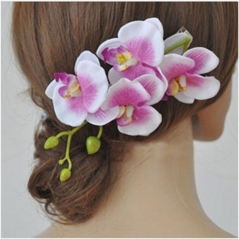 Prachtige grote haarclip orchidee wit/lila