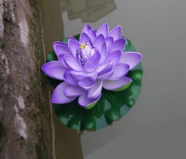 Drijvende paarse  Lotusbloem op blad 17 cm