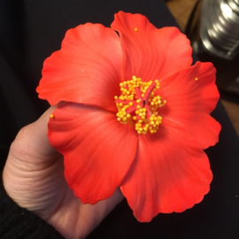 Geweldige Hibiscus Hawaïbloem 9 cm op clip rood