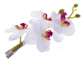 Prachtige grote haarclip orchidee wit