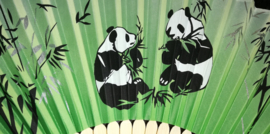 Mooie handwaaier met panda's van bamboe en stof groen