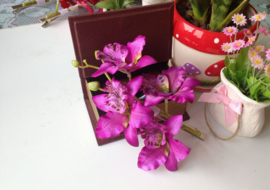 Prachtige grote haarclip 4 orchideeën paars