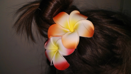 Superleuke Plumeria Hawaïbloem 8 cm op clip oranje met geel