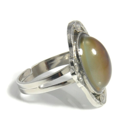 Superleuke van kleur veranderende "mood"ring  ovaal