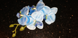 Prachtige grote haarclip orchidee blauw