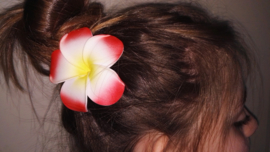 Superleuke Plumeria Hawaïbloem 8 cm op clip rood met geel