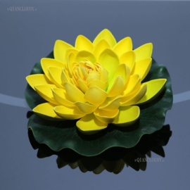 Drijvende gele  Lotusbloem op blad 17 cm
