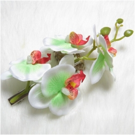 Prachtige grote haarclip orchidee wit/groen