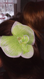 Grote orchidee 10 cm op clip wit/groen