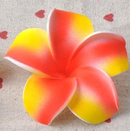 Vrolijke Plumeria Hawaïbloem 7 cm op clip kies je kleur