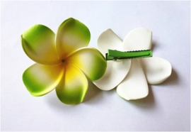 Superleuke Plumeria Hawaïbloem 8 cm op clip groen met geel