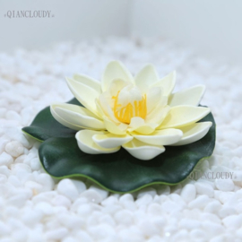 Drijvende witte Lotusbloem op blad 10 cm