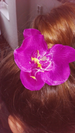 Grote orchidee 10 cm op clip paars