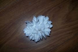 Leuke kleine witte haarbloem op clip