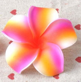 Vrolijke Plumeria Hawaïbloem 7 cm op clip kies je kleur