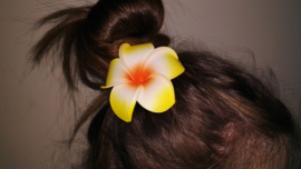 Superleuke Plumeria Hawaïbloem 8 cm op clip geel met oranje