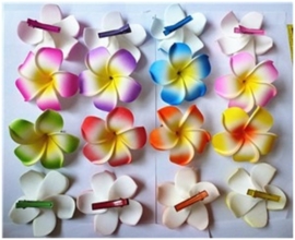 Superleuke Plumeria Hawaïbloem 8 cm op clip rood met geel