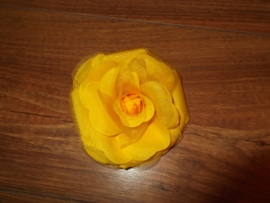 Grote roos op klem geel