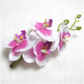 Prachtige grote haarclip orchidee wit/lila