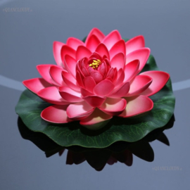 Drijvende rozerode  Lotusbloem op blad 17 cm