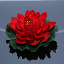 Drijvende rode Lotusbloem op blad 17 cm