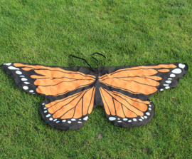 Superleuke kinder cape vlinder oranje  
