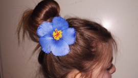 Geweldige Hibiscus Hawaïbloem 9 cm op clip blauw
