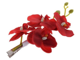 Chinees bloemenjurkje rood