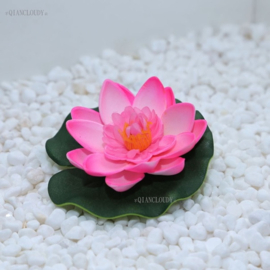 Drijvende roze Lotusbloem op blad 10 cm
