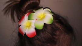 Superleuke Plumeria Hawaïbloem 8 cm op clip rood met geel