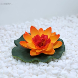 Drijvende oranje Lotusbloem op blad 10 cm