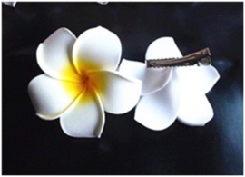 Superleuke Plumeria Hawaïbloem 8 cm op clip geel met wit